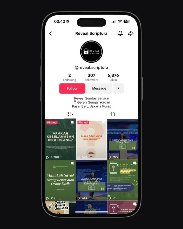 Screenshot of the Reveal Scriptura TikTok profile